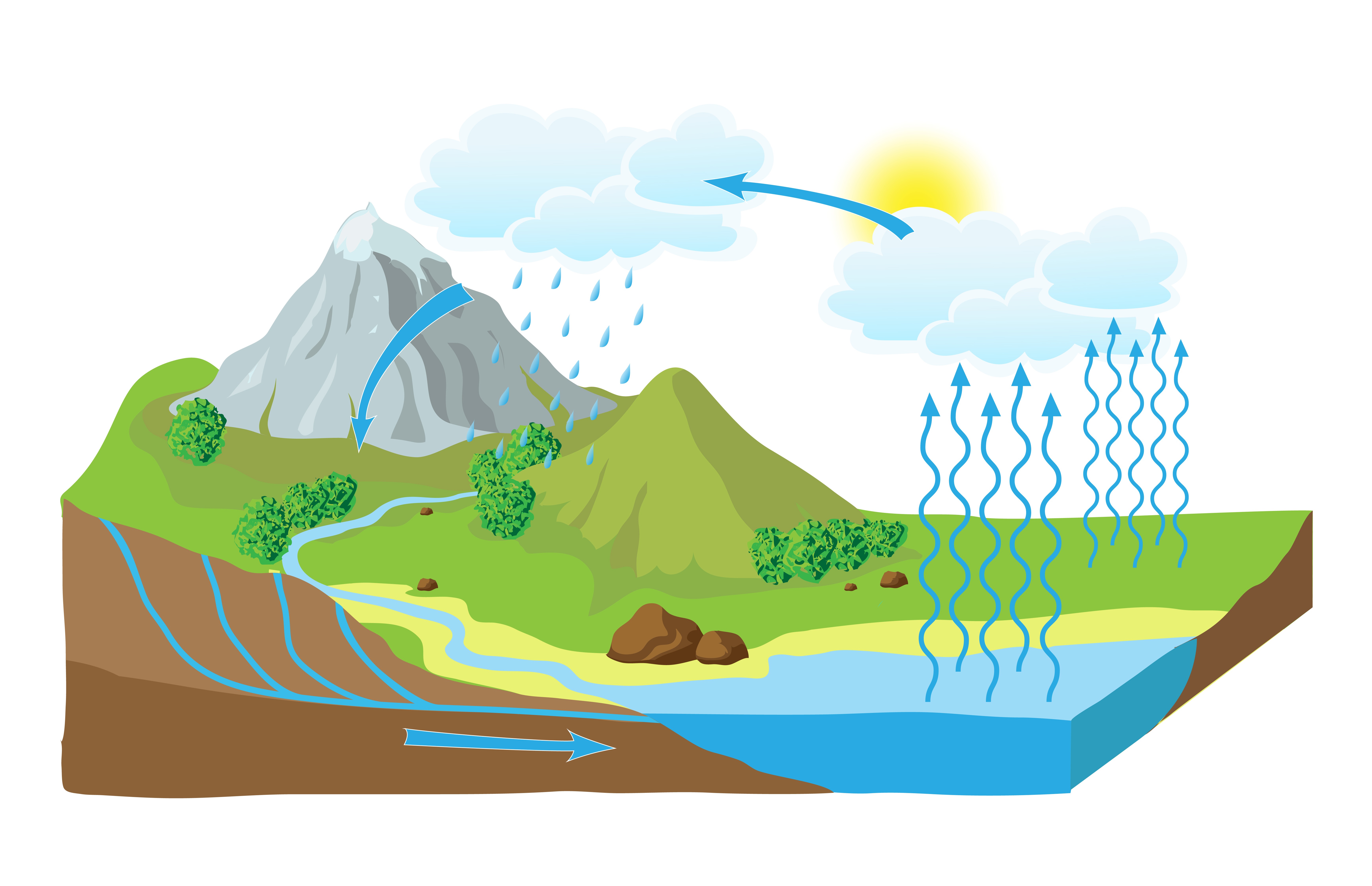 Water Cycle: The Science of Rain for Kindergarteners image