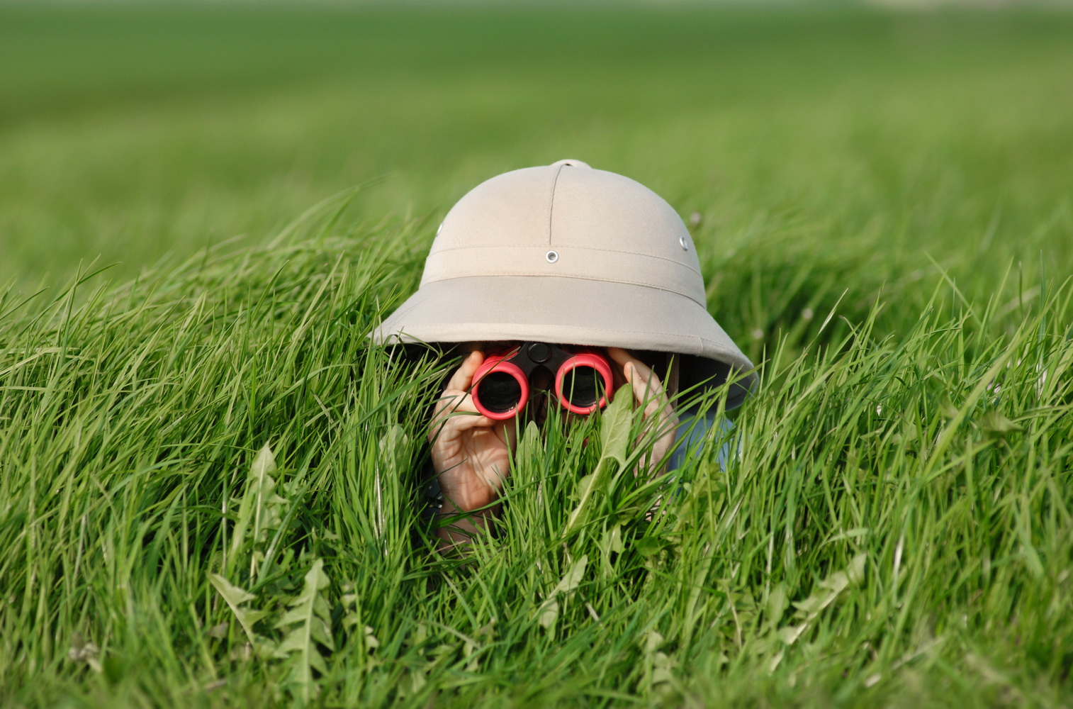 image 3 -- kid hiding in grass with binoculars