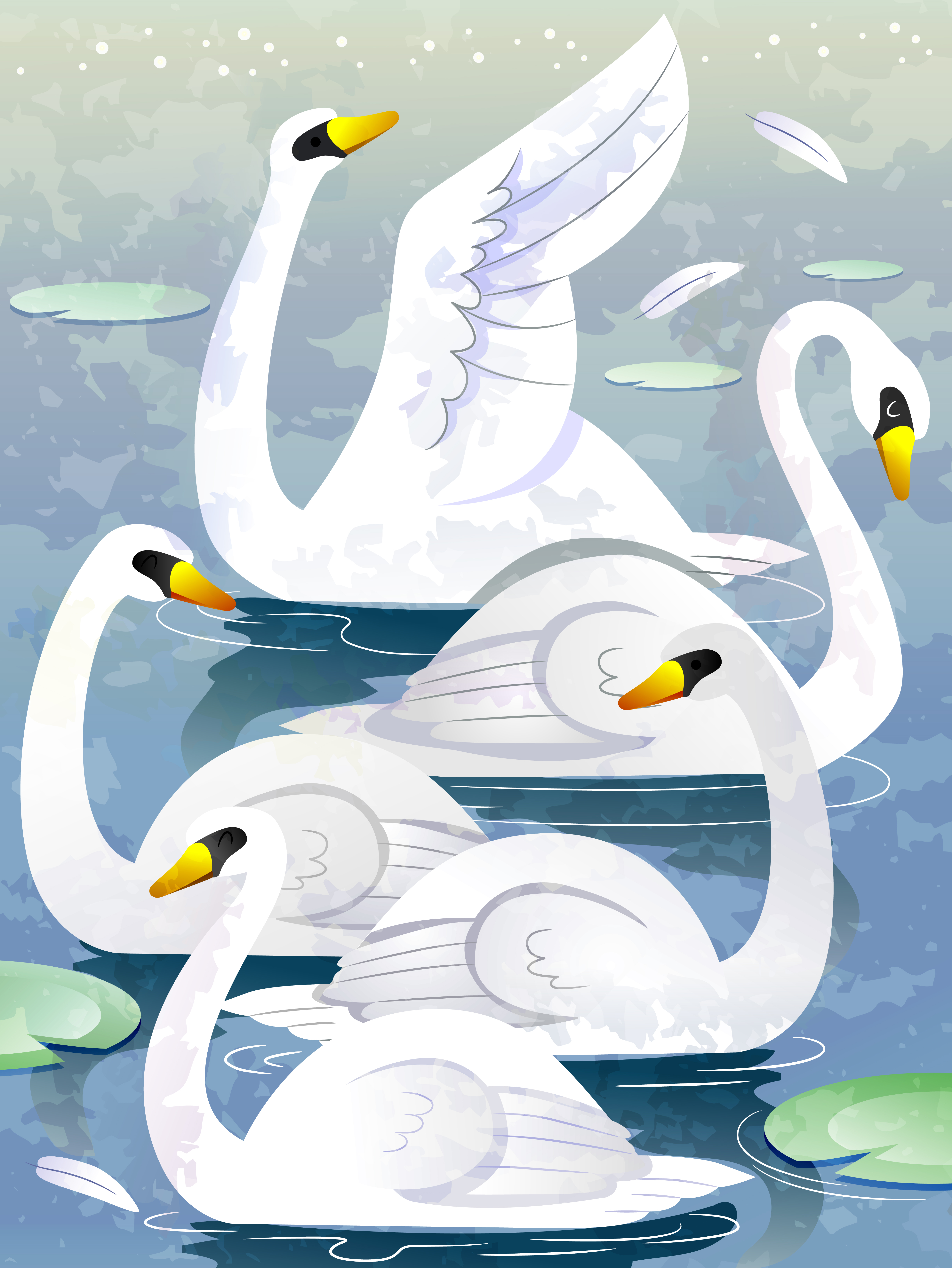 swans