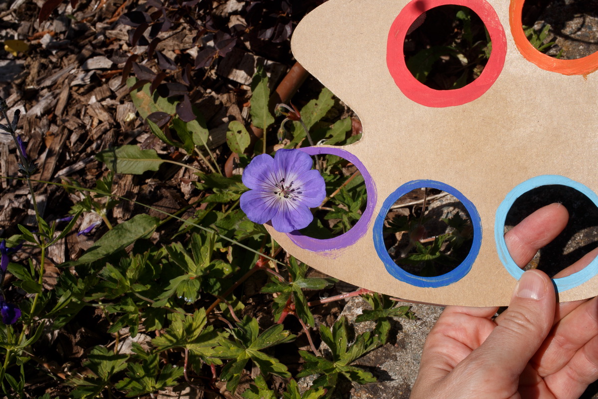 color matching cardboard palette
