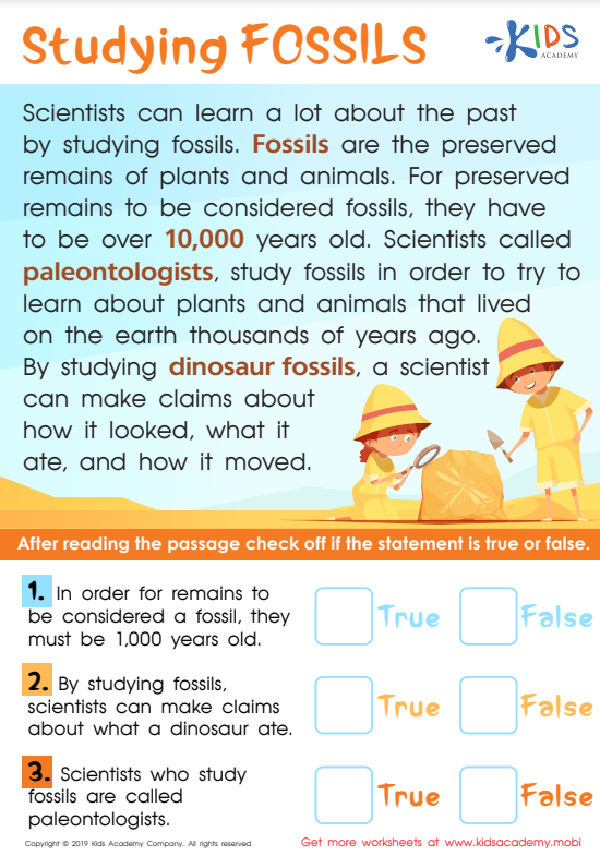 studying fossils worksheet