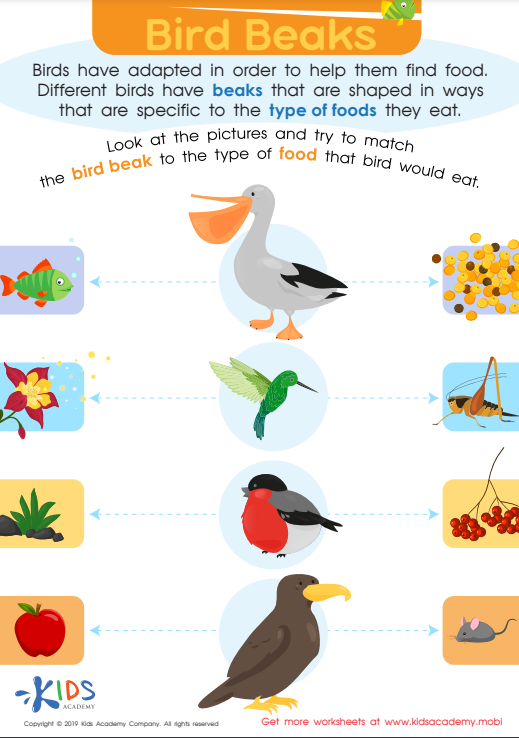 bird beaks worksheet