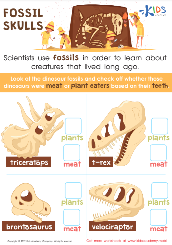 fossil skulls worksheet