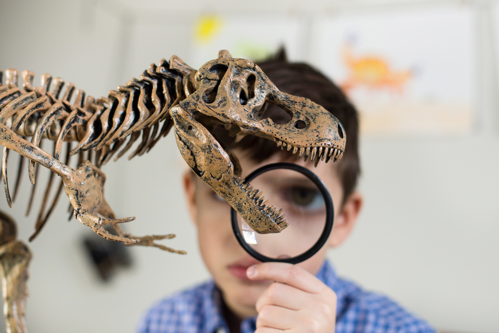 Blog post Science. 3rd Grade. Exploring the World of Dinosaurs and Ancient Animals main image
