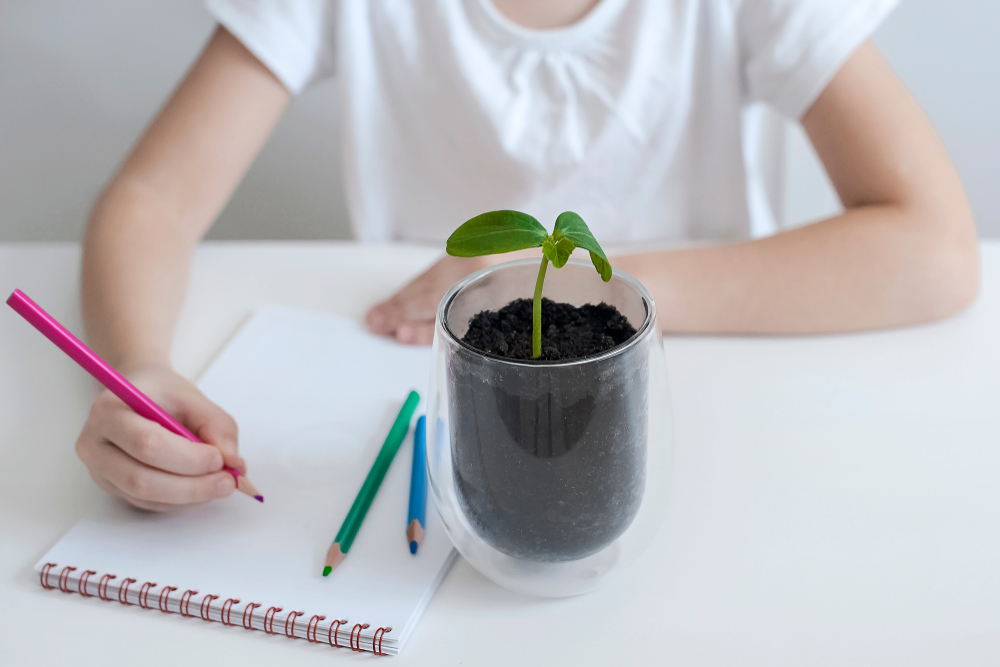 Plant, drawing, child