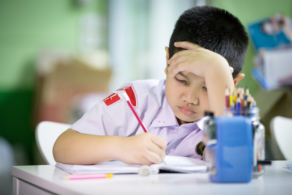 a boy is preparing his homework