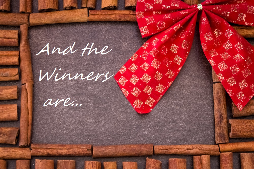 Blog post Congratulations to Christmas Giveaway Winners! main image