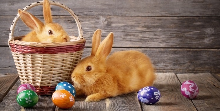 Basket with bunnies and Easter eggs