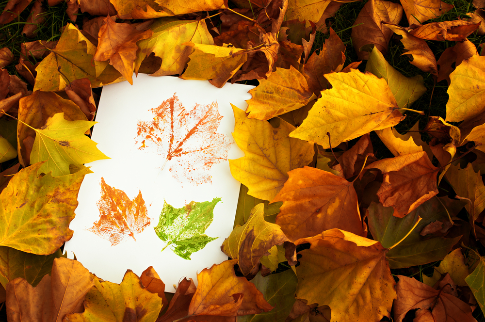 Leaf Rubbing Collage