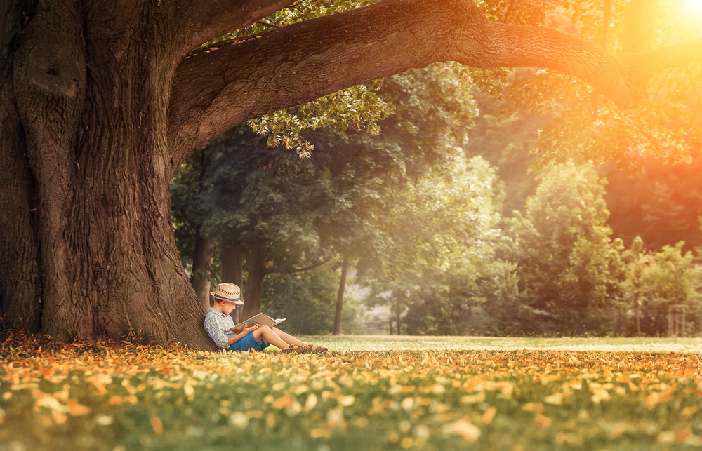 Reading outdoors