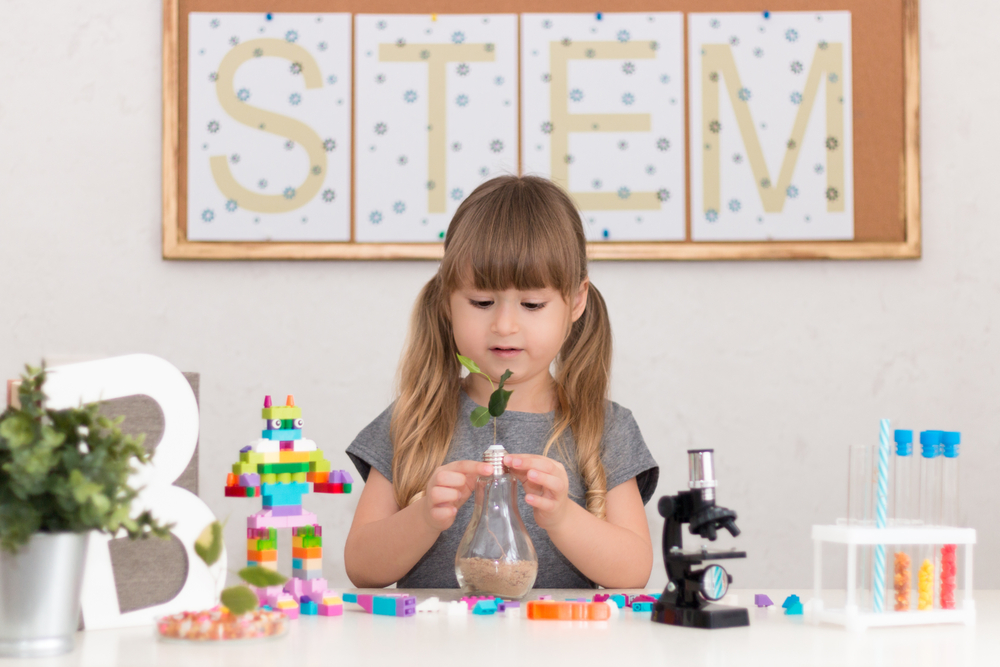 Outdoor Natural Science STEM Activities image