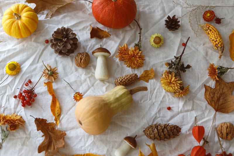 4 Eco-friendly Thanksgiving Activities for Kids to Celebrate and Express Gratitude image