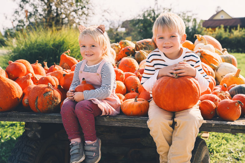 Blog post Making Halloween 2024 a Wholesome, Family-Bonding Experience main image