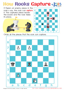 Normal Rook Worksheets image