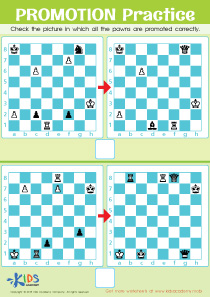 King and Queen Mate Practice Worksheet for kids