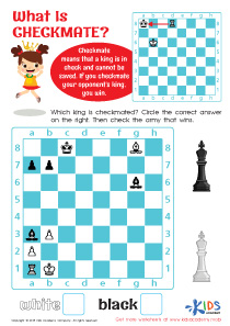 What is Checkmate? Worksheet