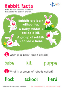 Rabbit Facts Worksheet
