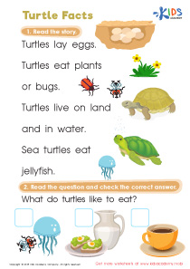 Turtle Facts Worksheet