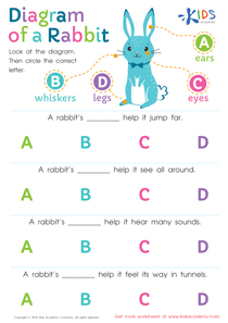 Diagram of a Rabbit Worksheet
