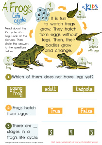 A Frog’s Life Cycle Worksheet