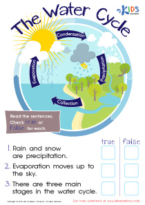 The Water Cycle Worksheet