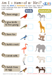 Am I a Mammal or Bird? Worksheet