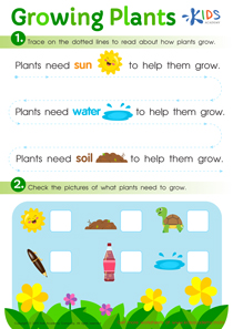 Growing Plants Worksheet