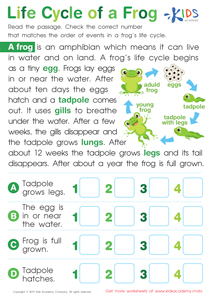 Life Cycle of a Frog Worksheet
