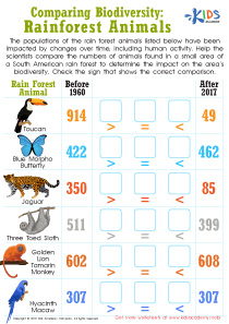 Comparing Biodiversity: Rainforest Animals Worksheet