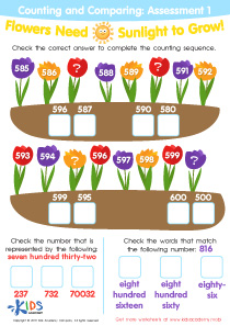 Counting and Comparing: Assessment 1 Worksheet