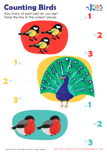 Counting Birds Worksheet