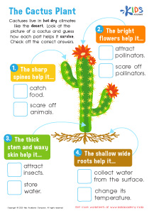 The Cactus Plant Worksheet