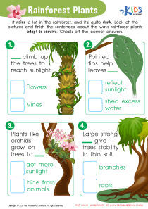 Rainforest Plants Worksheet