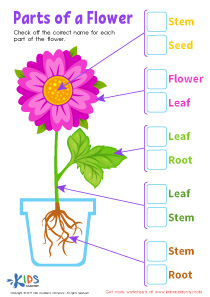 Easy Kindergarten Science Worksheets image