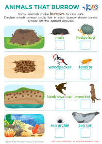 Animals That Burrow Worksheet