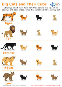 Big Cats and Their Cubs Worksheet