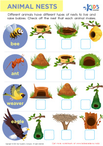 Easy First Grade Science Worksheets image