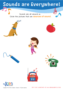 Sounds Are Everywhere! Worksheet