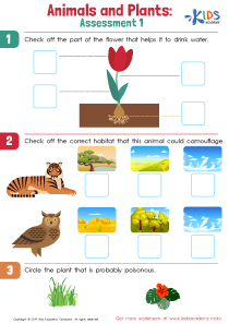 Animals and Plants: Assessment 1 Worksheet