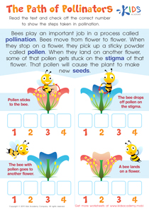 The Path of Pollinators Worksheet