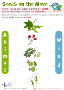 Seeds on the Move Worksheet