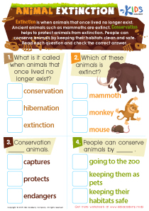Animal Extinction Worksheet