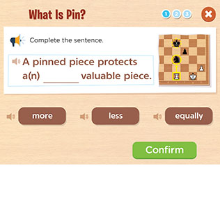 What Is Pin?
