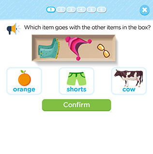 Sort Objects into Categories and Color Words