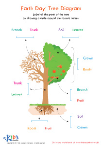 Earth Day: Tree Diagram Worksheet
