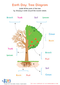 Normal Difficulty Plants Worksheets for Grade 1 image