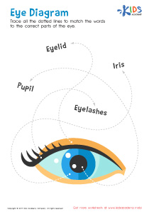 Eye Diagram Printable