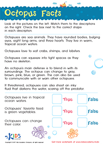 Octopus Facts Worksheet For Kids