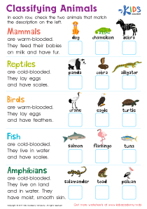 Classifying Animals Worksheet