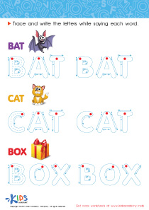 A Bat, a Cat and a Box Spelling Worksheet